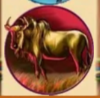 Символ игрового автомата Safari Heat Бизон