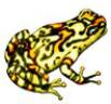 Символ игрового автомата Aztec Treasure Лягушка 