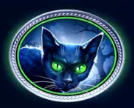 Символ игрового автомата Tales Of Darkness Full Moon Кот