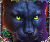 Символ игрового автомата Book Of Panther Пантера