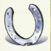 Символ игрового автомата Lucky Lady’s Charm Подкова