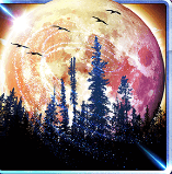 Символ игрового автомата Book Of Wolves Full Moon Полнолуние