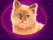 Символ игрового автомата Cutie Cat Рыжий кот