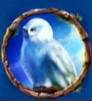 Символ игрового автомата Silver Fox Сова